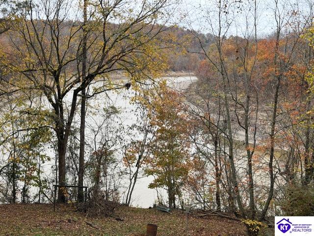512 Hornback Mill Ext. Lane Property Photo 9