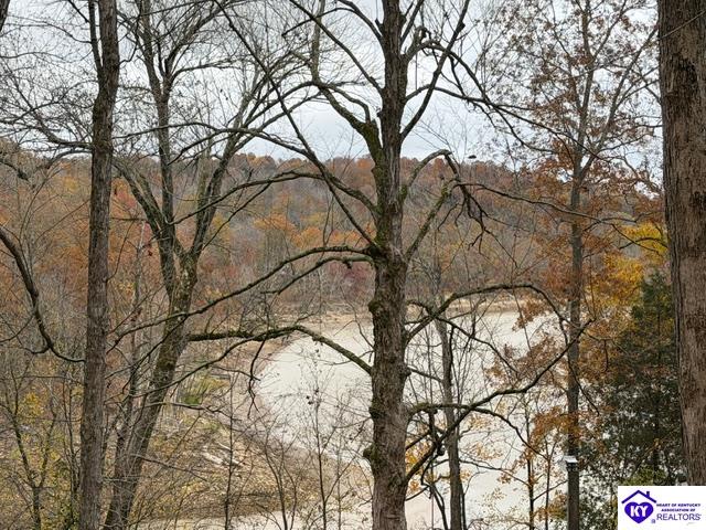 512 Hornback Mill Ext. Lane Property Photo 11
