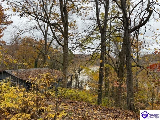 512 Hornback Mill Ext. Lane Property Photo 12