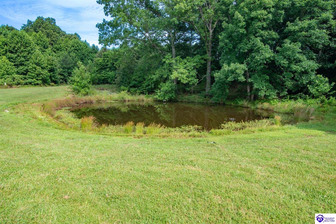 1096 Eastview Road Property Photo 74