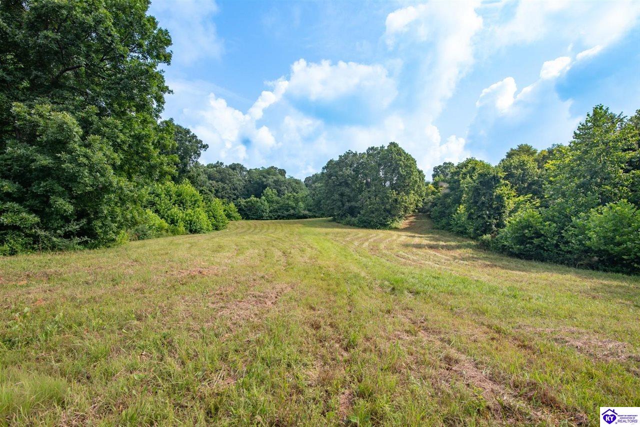 1096 Eastview Road Property Photo 75