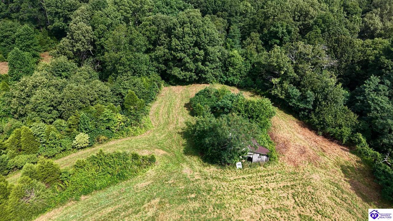 1096 Eastview Road Property Photo 77