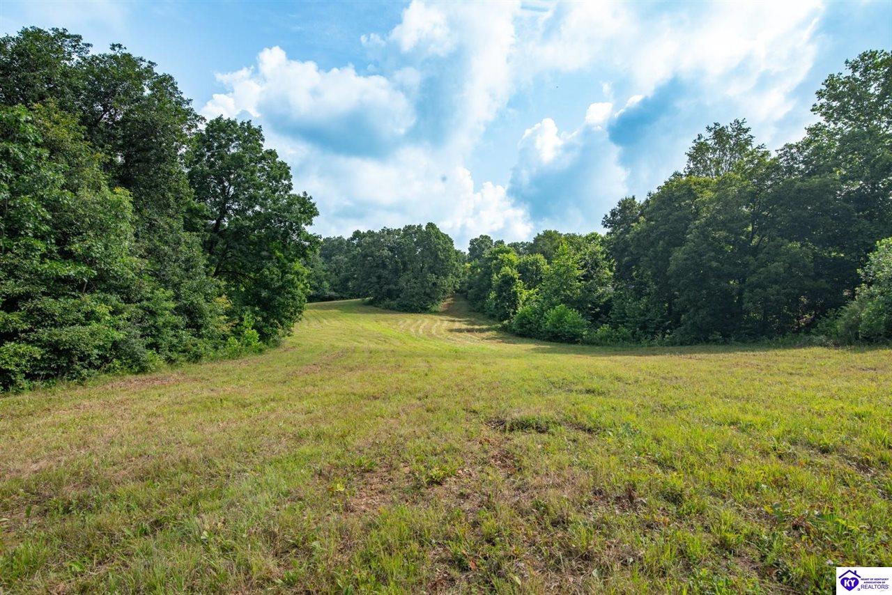 1096 Eastview Road Property Photo 79