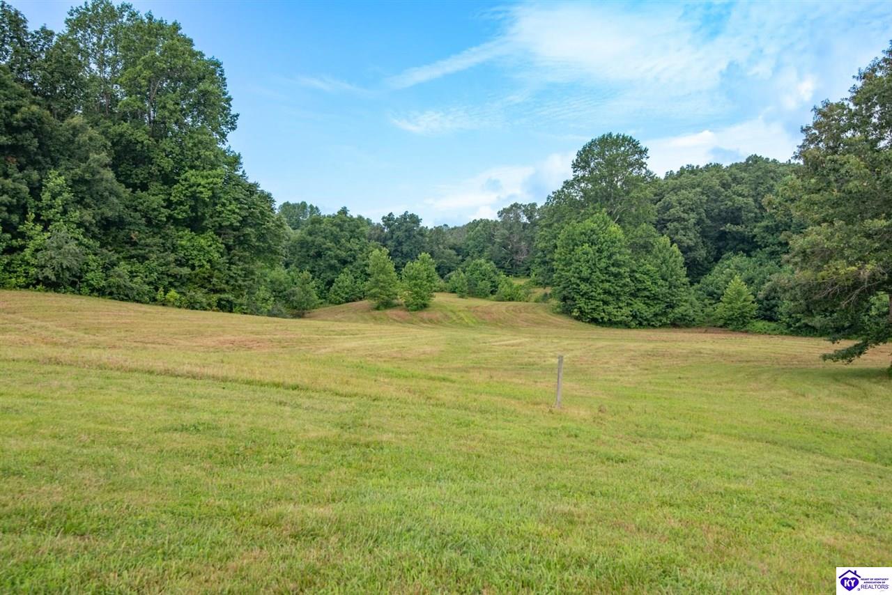 1096 Eastview Road Property Photo 80