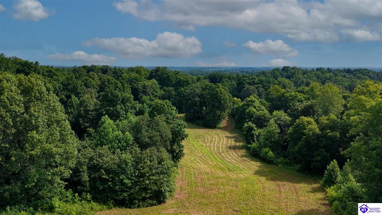 1096 Eastview Road Property Photo 81