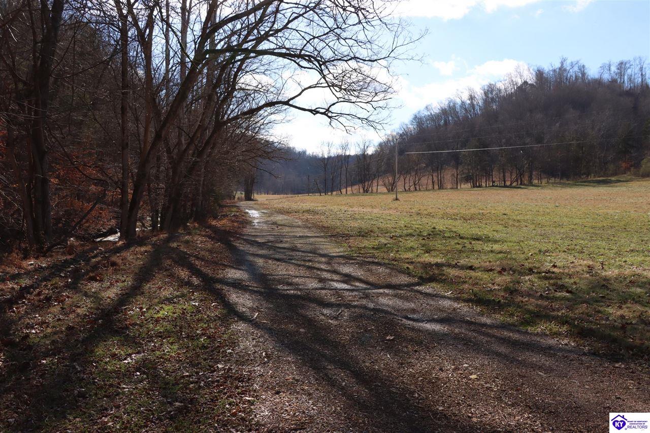 1384 Oil Fork Road Property Photo 5