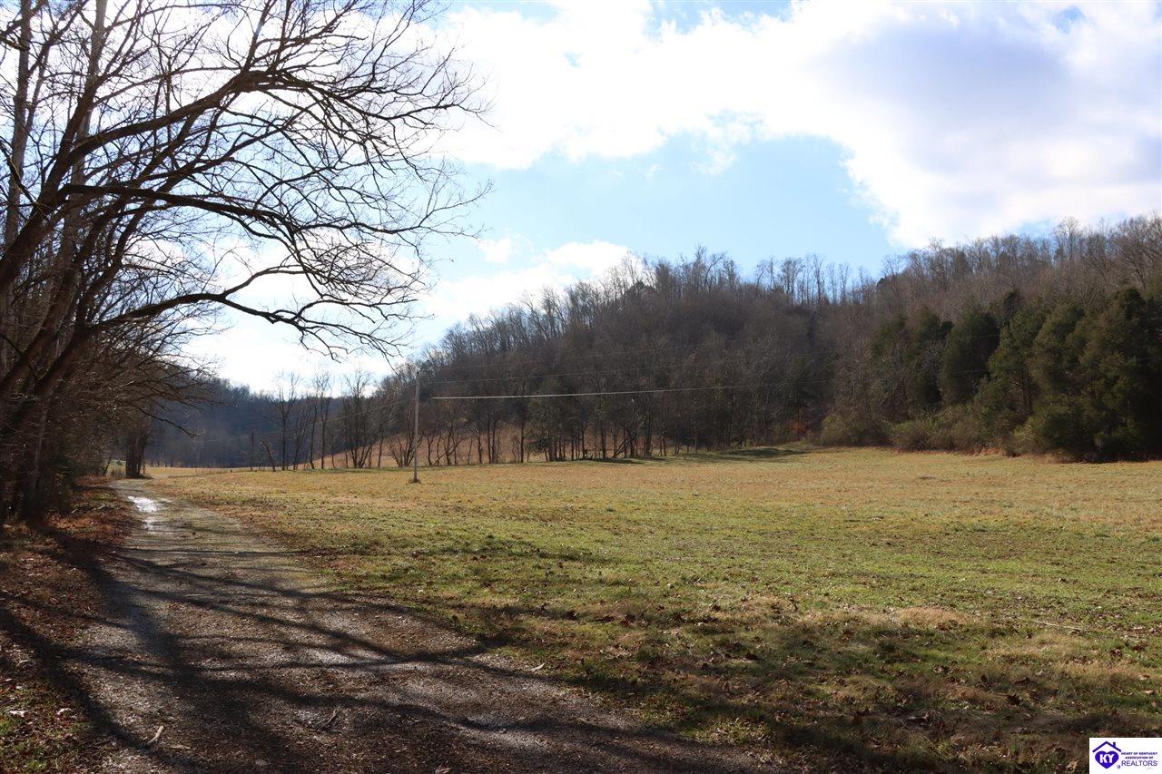 1384 Oil Fork Road Property Photo 6