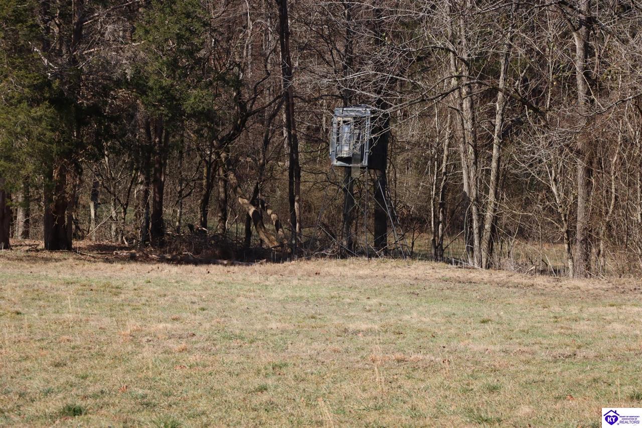 1384 Oil Fork Road Property Photo 9
