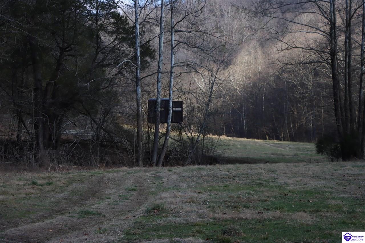 1384 Oil Fork Road Property Photo 36