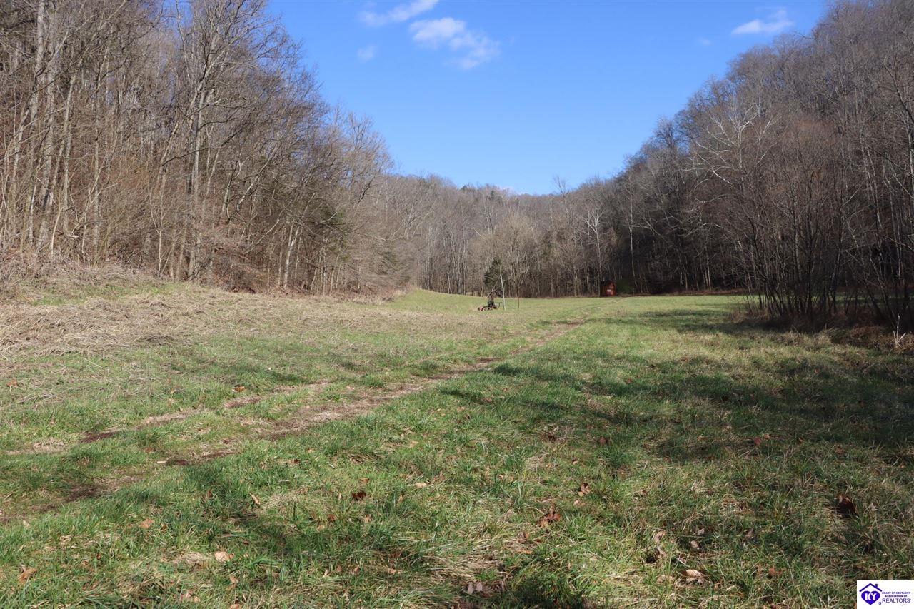 1384 Oil Fork Road Property Photo 42
