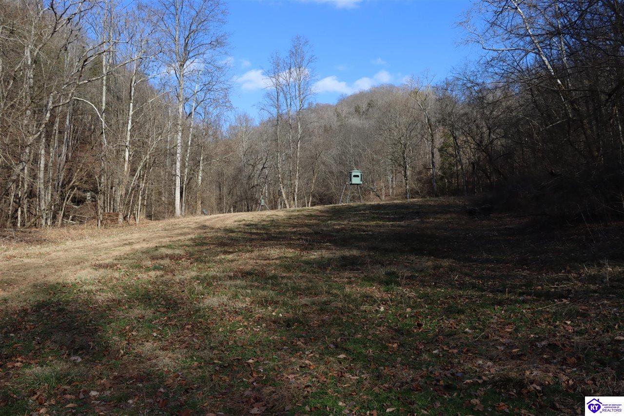 1384 Oil Fork Road Property Photo 43