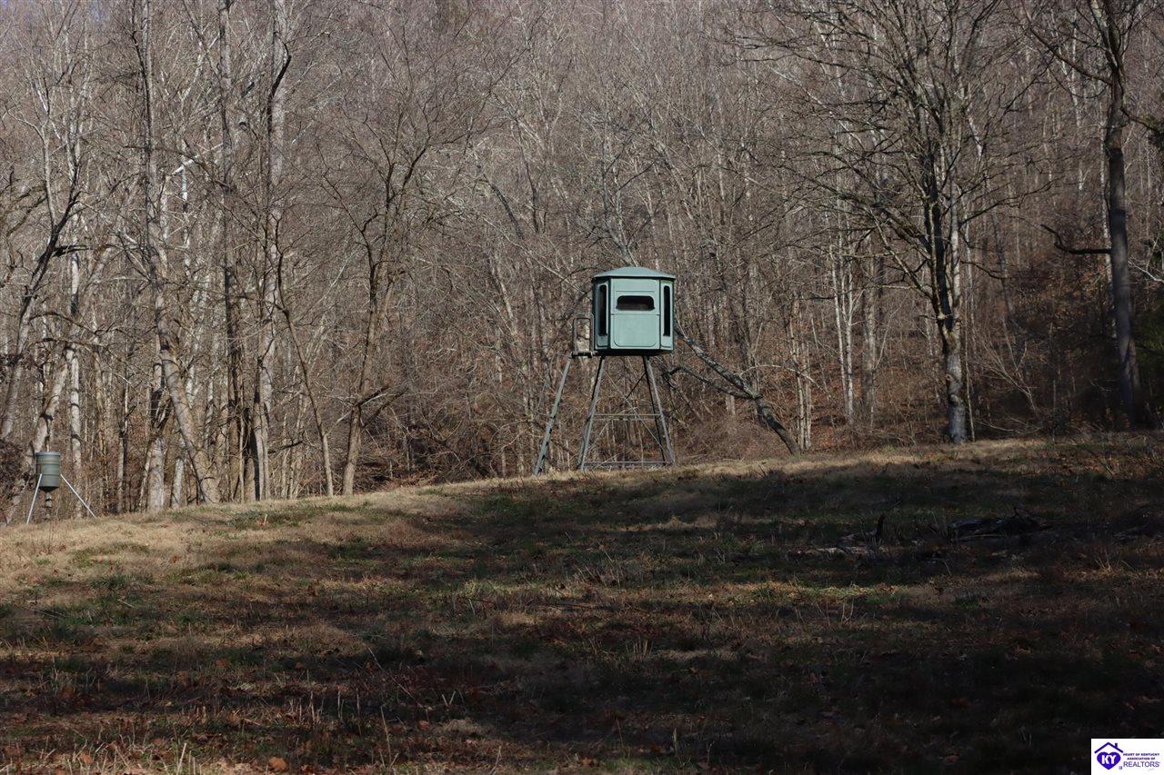 1384 Oil Fork Road Property Photo 44