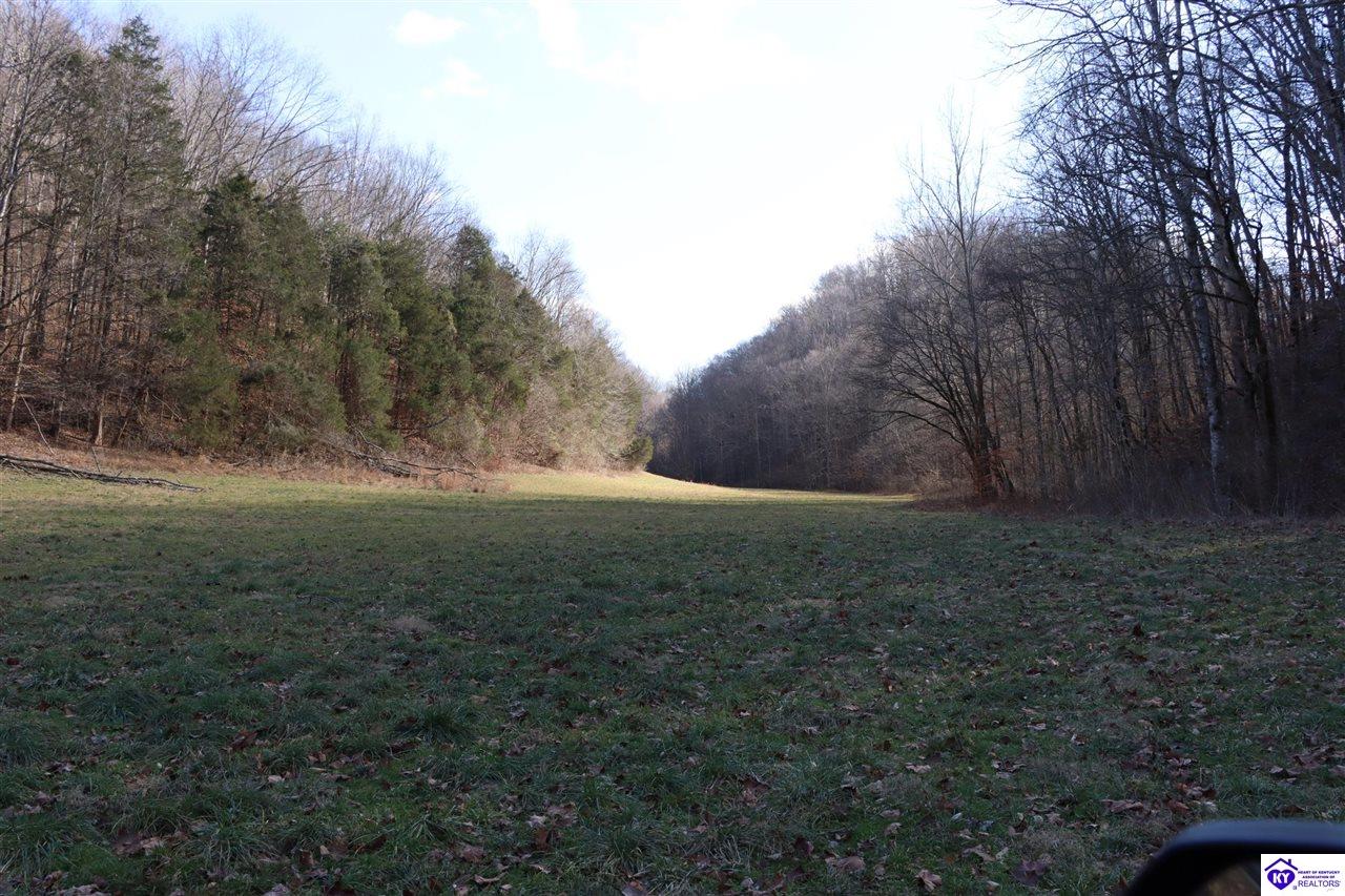 1384 Oil Fork Road Property Photo 45