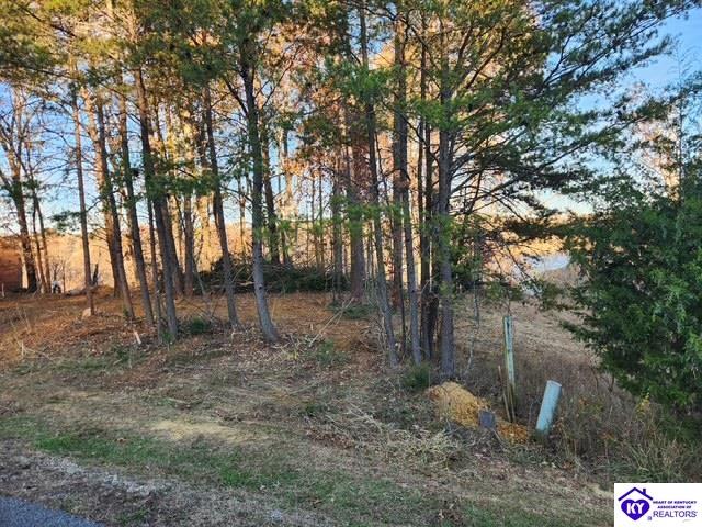 609 Paulette Way Property Photo 3