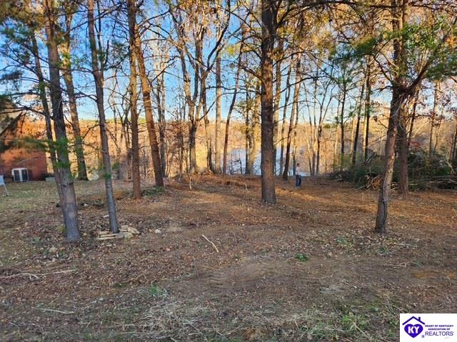 609 Paulette Way Property Photo 4
