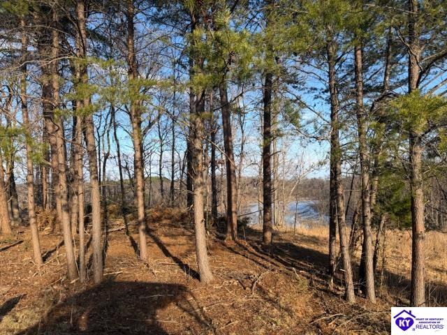 609 Paulette Way Property Photo 5