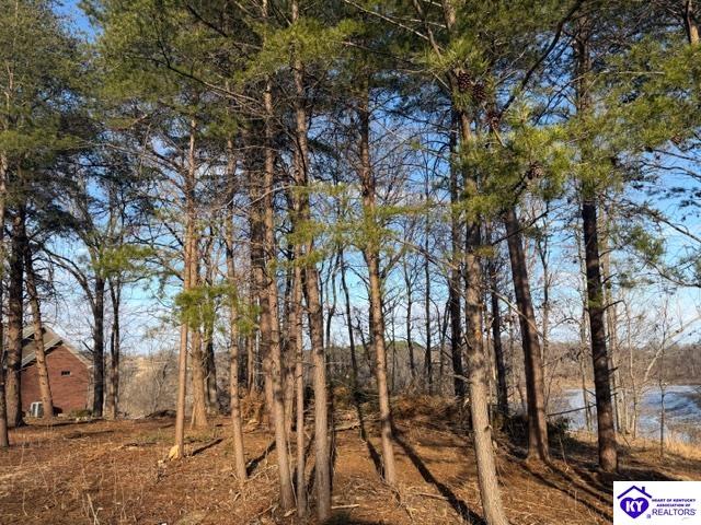 609 Paulette Way Property Photo 6