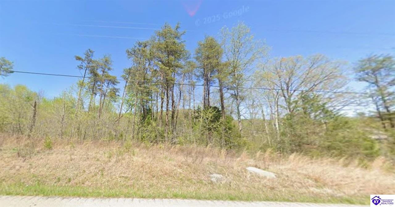 1.91 Ac Brier Creek Road Property Photo 2
