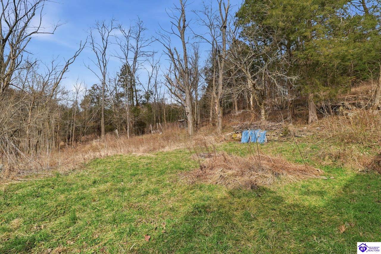 25410 Sonora Hardin Springs Road Property Photo 34