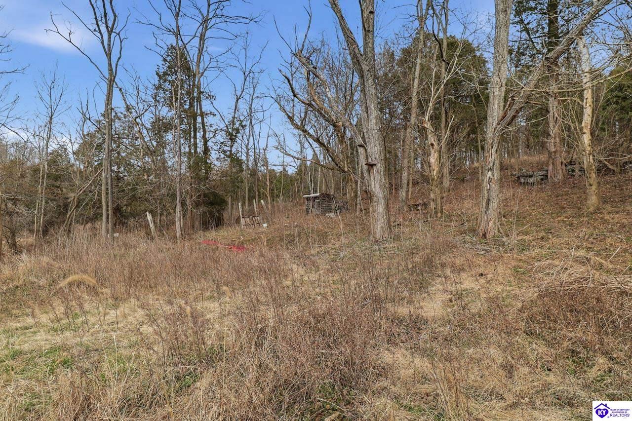 25410 Sonora Hardin Springs Road Property Photo 35