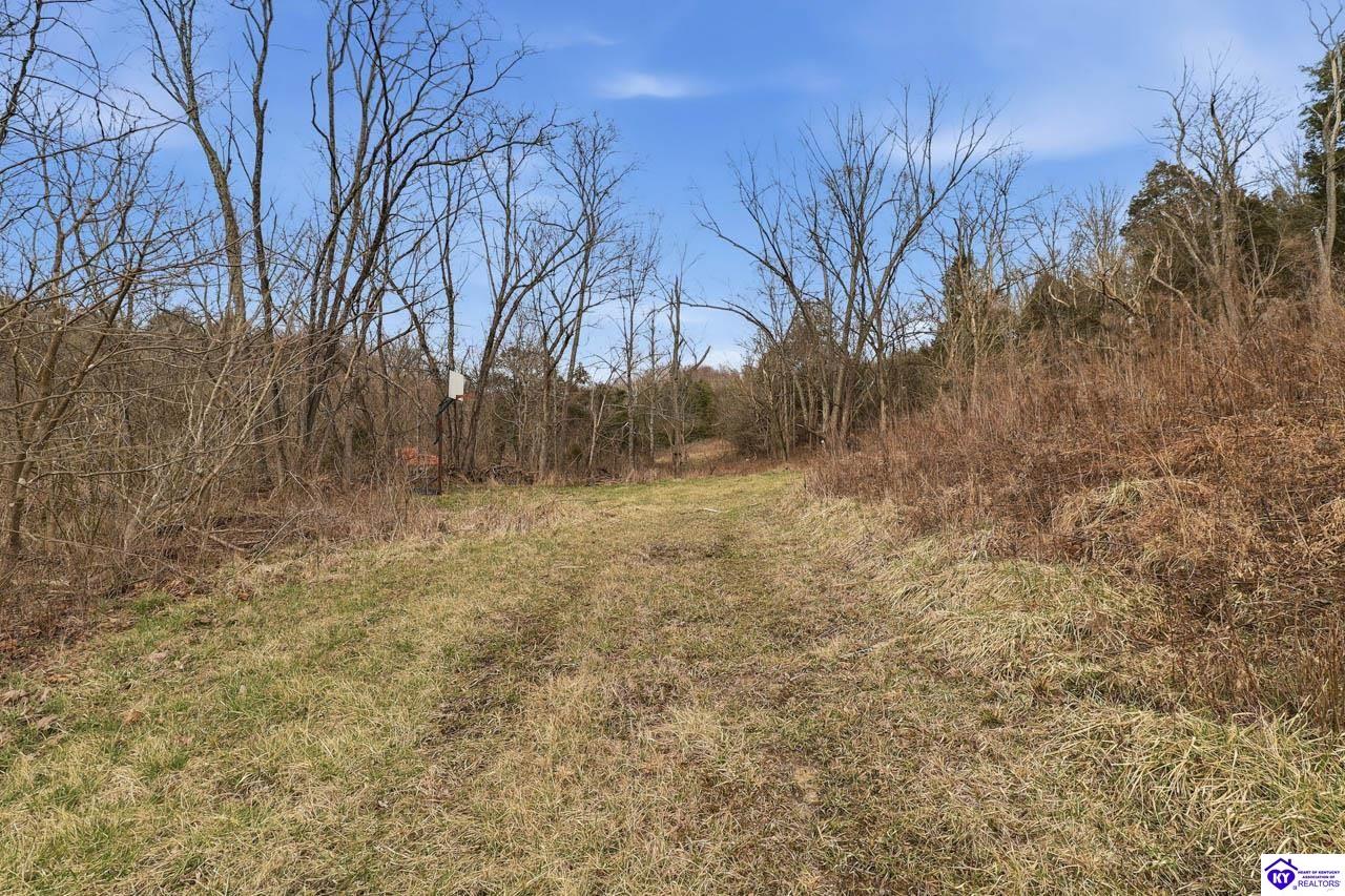 25410 Sonora Hardin Springs Road Property Photo 36
