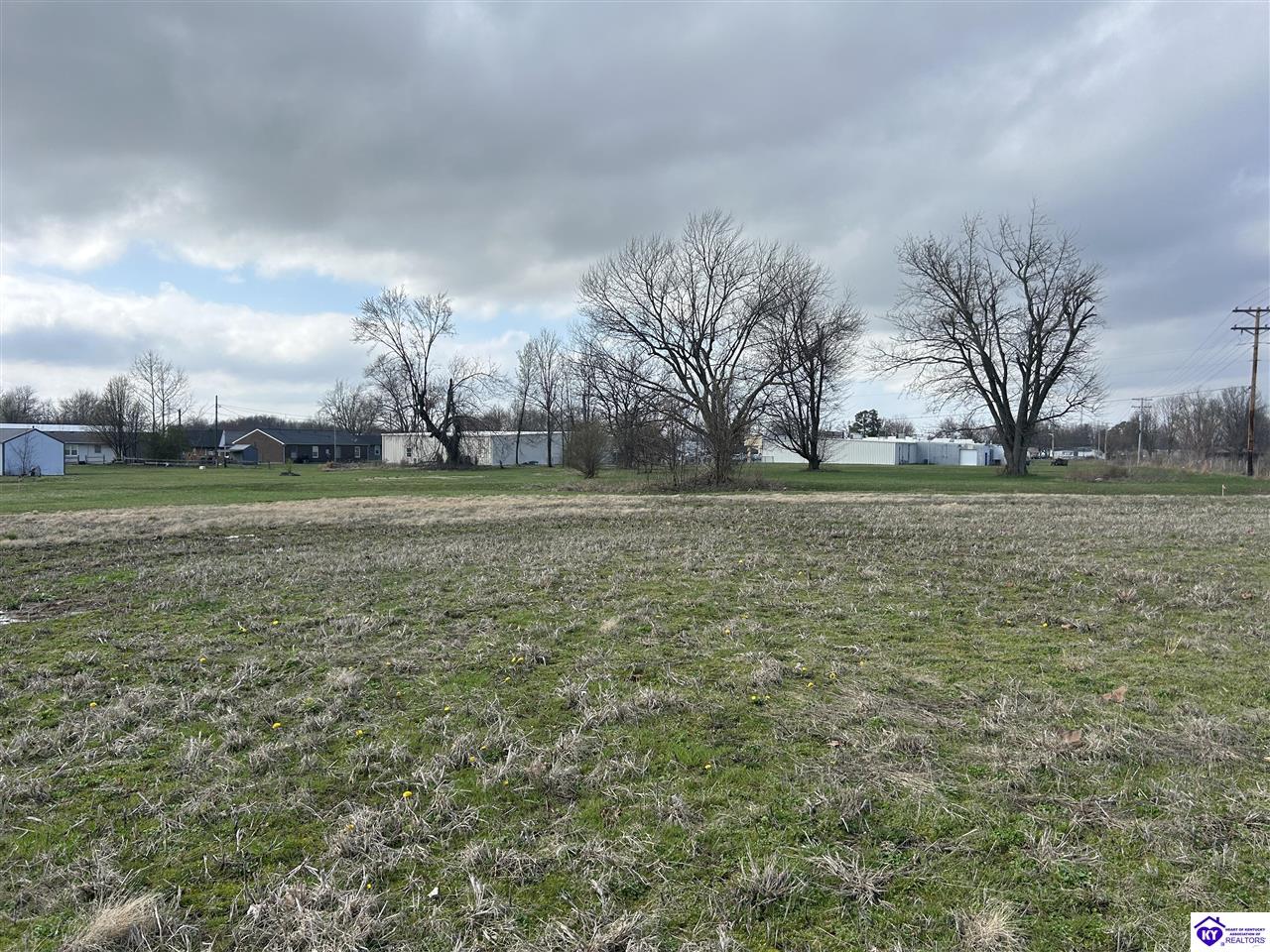 142 Fred Phillips Lane Property Photo 4