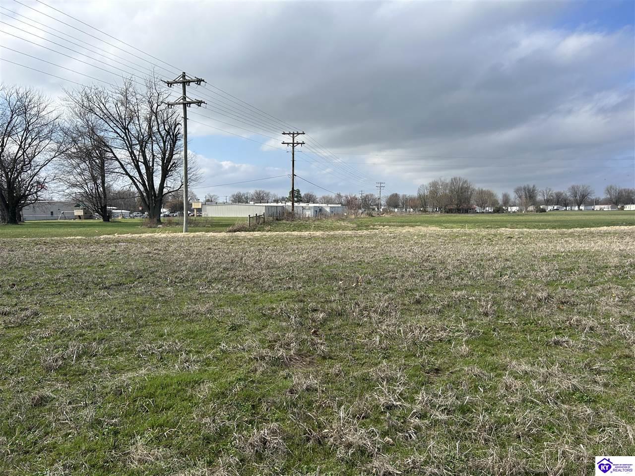 146 Fred Phillips Lane Property Photo 4