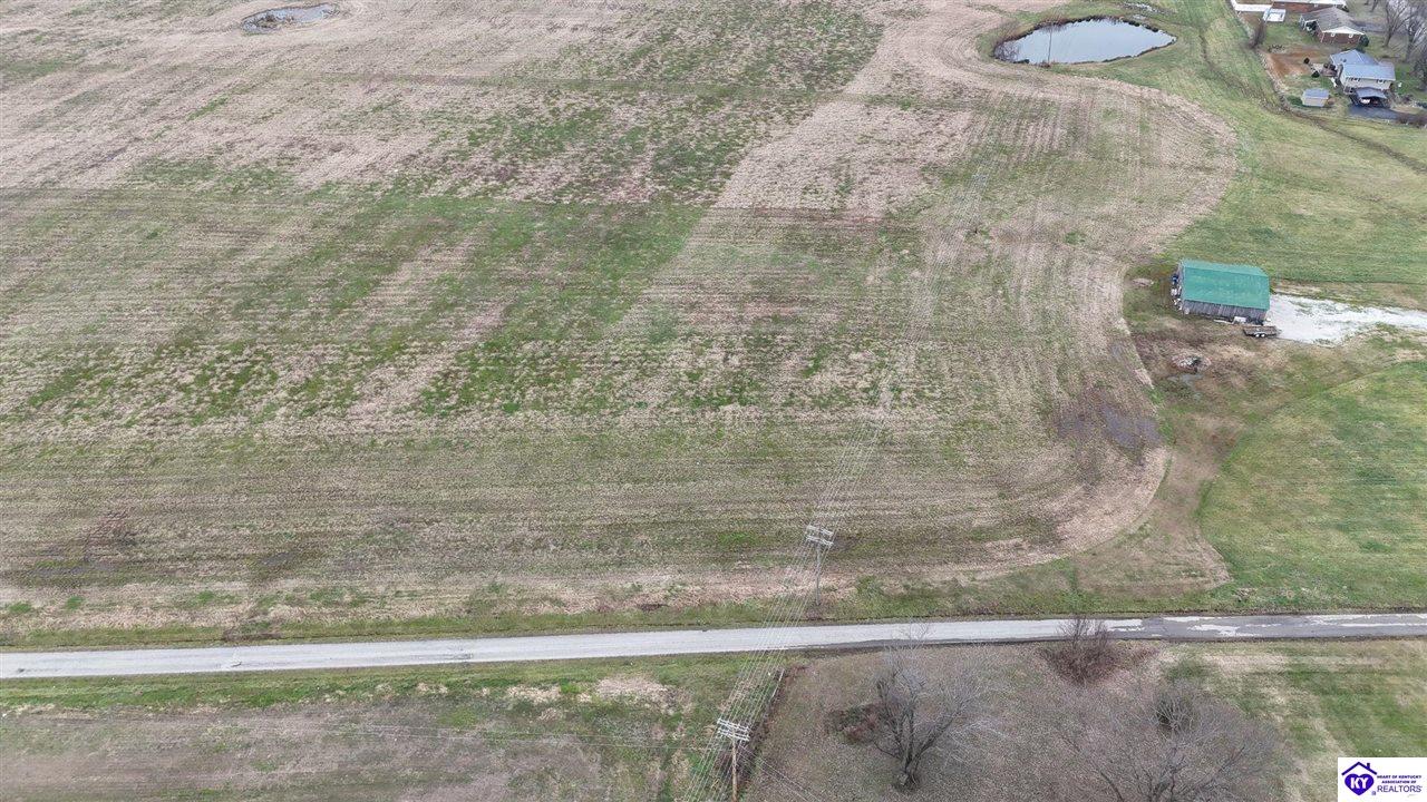 146 Fred Phillips Lane Property Photo 7