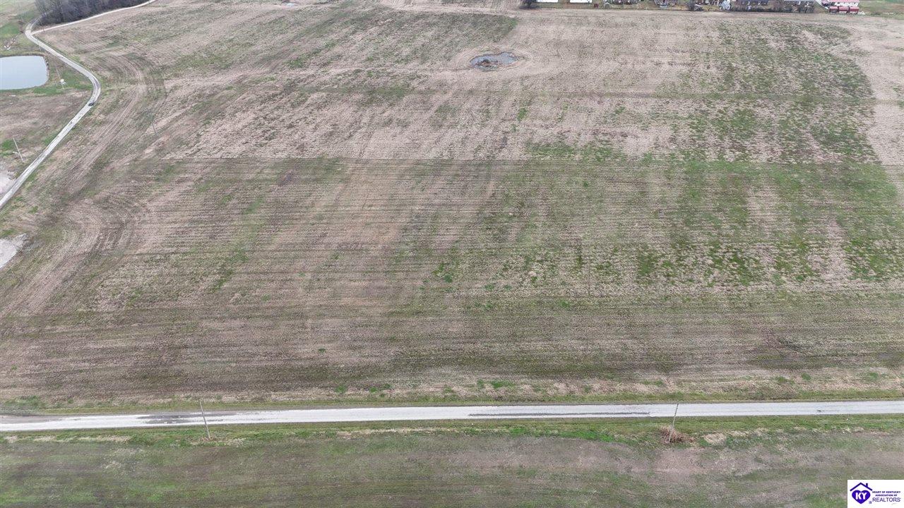 184 Fred Phillips Lane Property Photo 8
