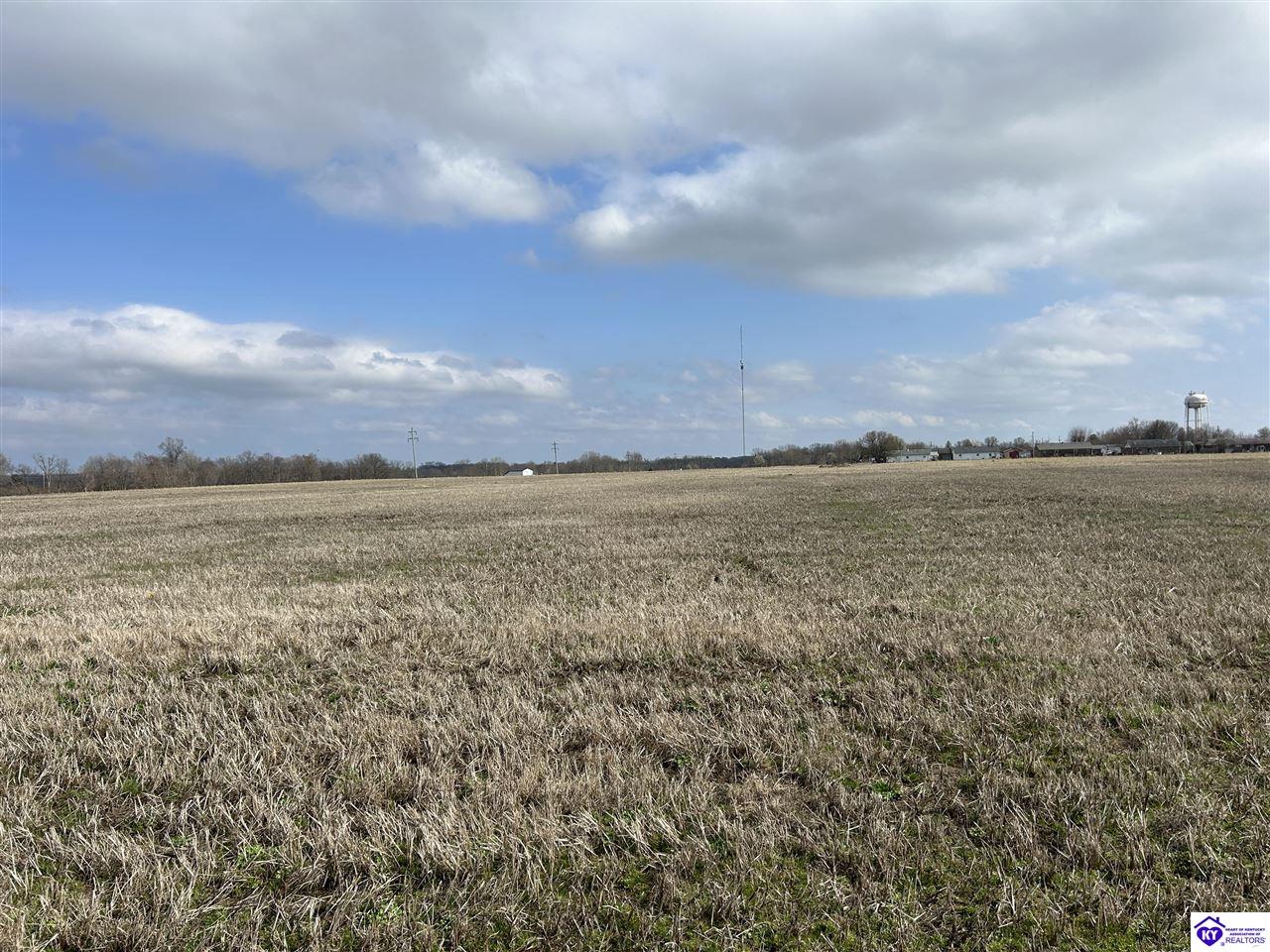 188 Fred Phillips Lane Property Photo 3