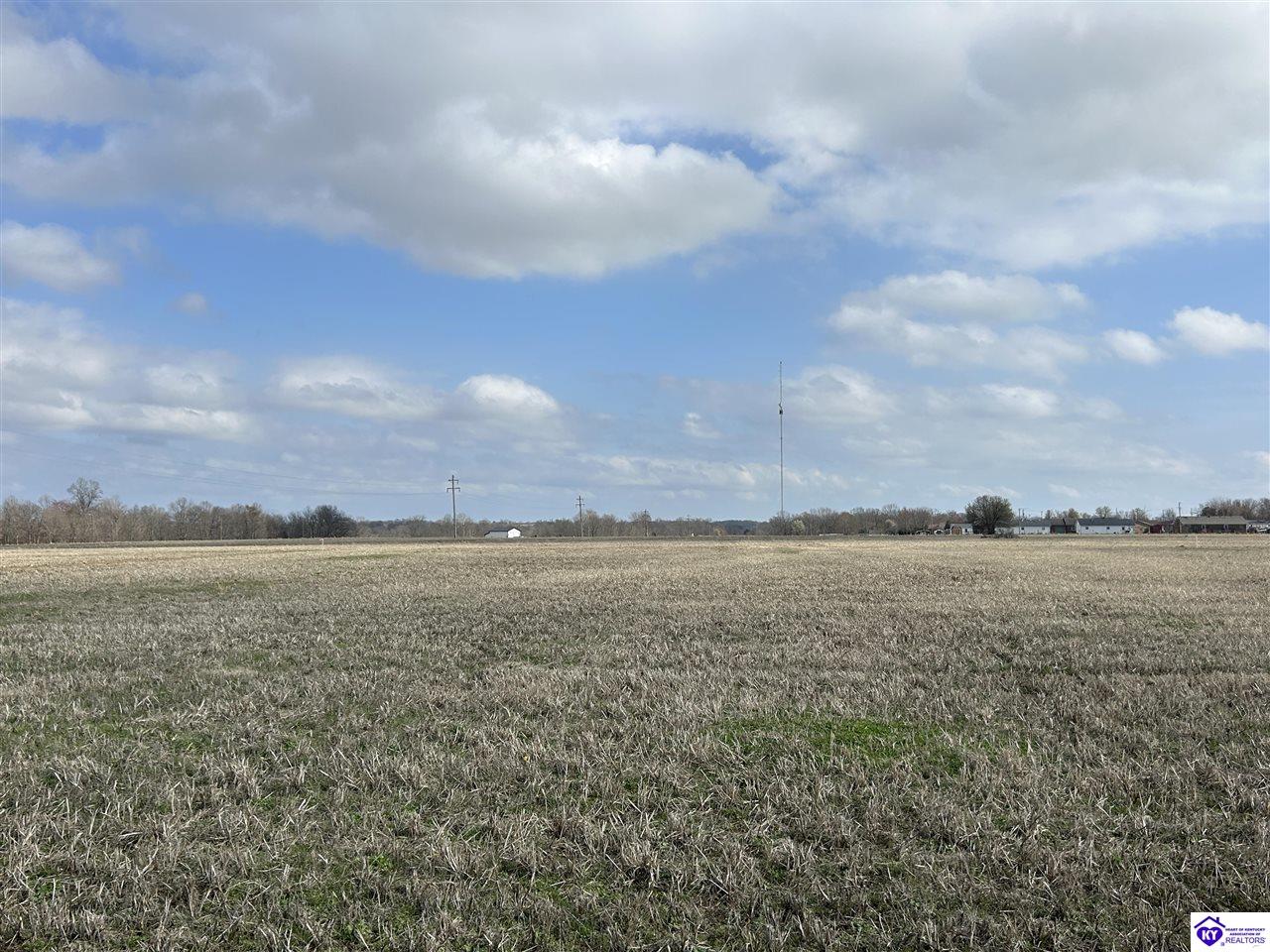 192 Fred Phillips Lane Property Photo 3