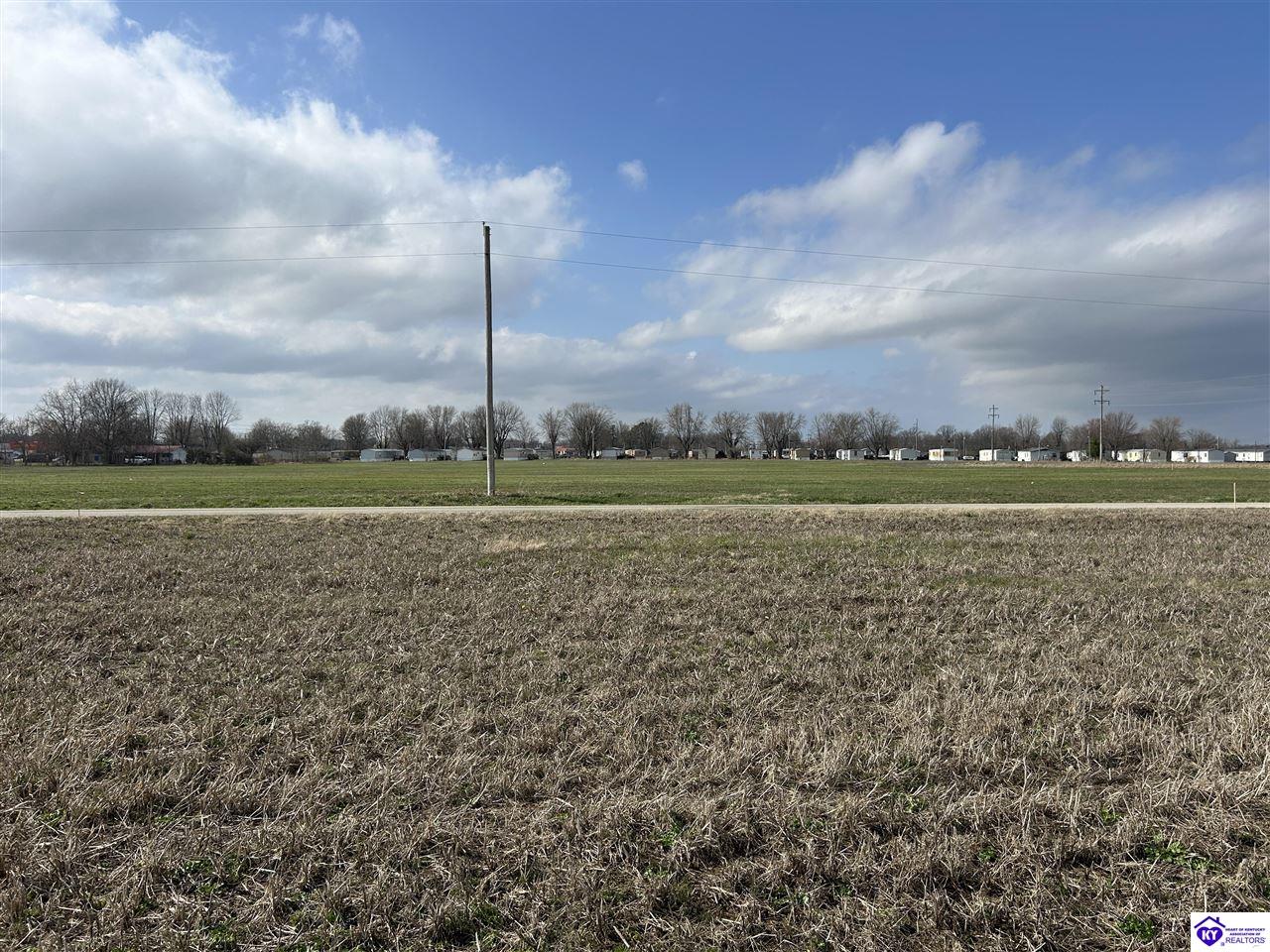 192 Fred Phillips Lane Property Photo 4