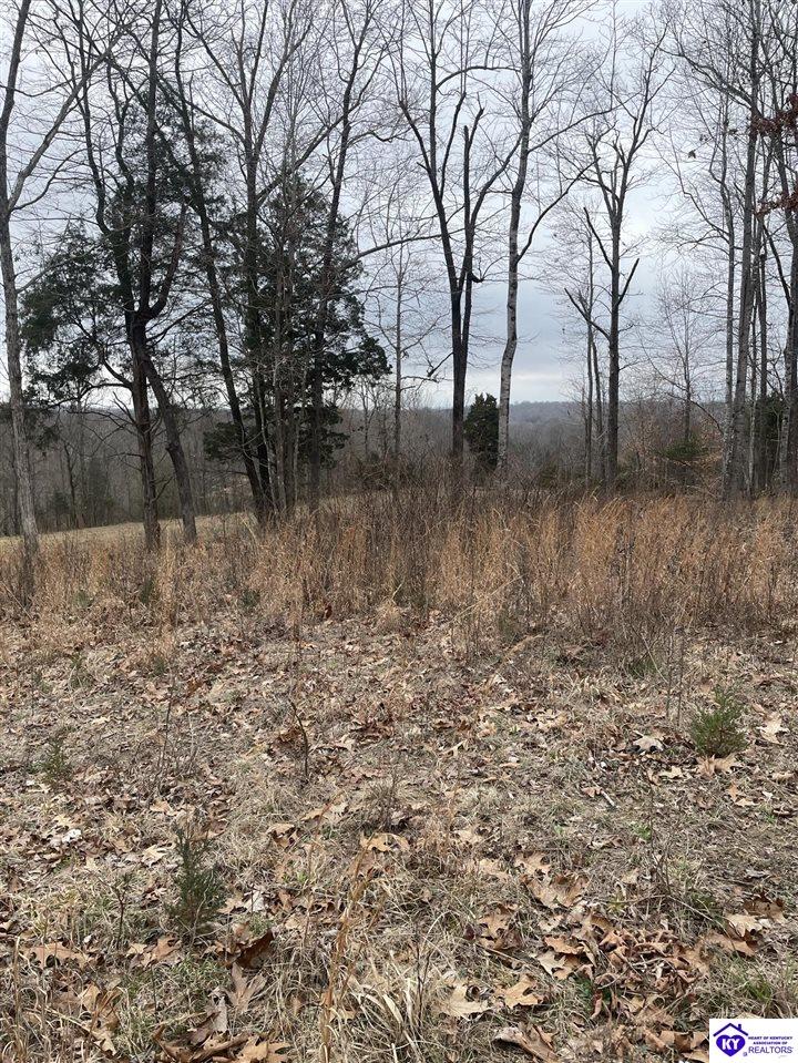 0 Sylvan Circle Property Photo 2