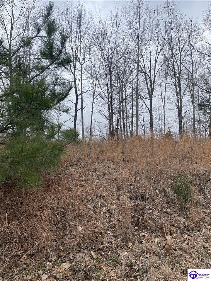 0 Sylvan Circle Property Photo 4