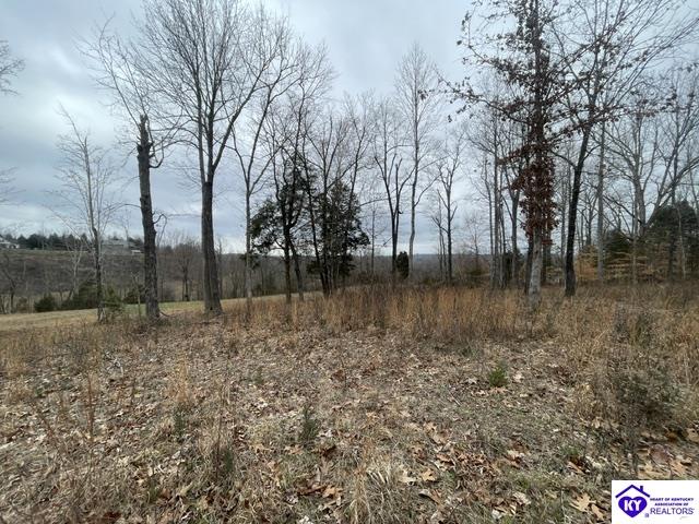 0 Sylvan Circle Property Photo 6