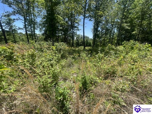 0 Sylvan Circle Property Photo 8