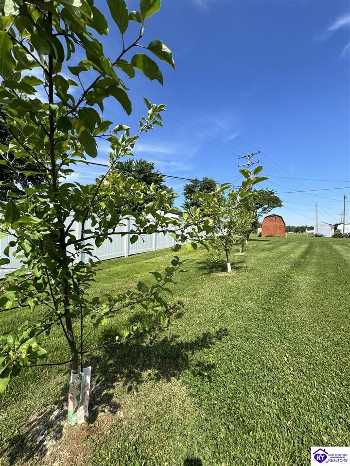 204 Chambliss Drive Property Photo 40