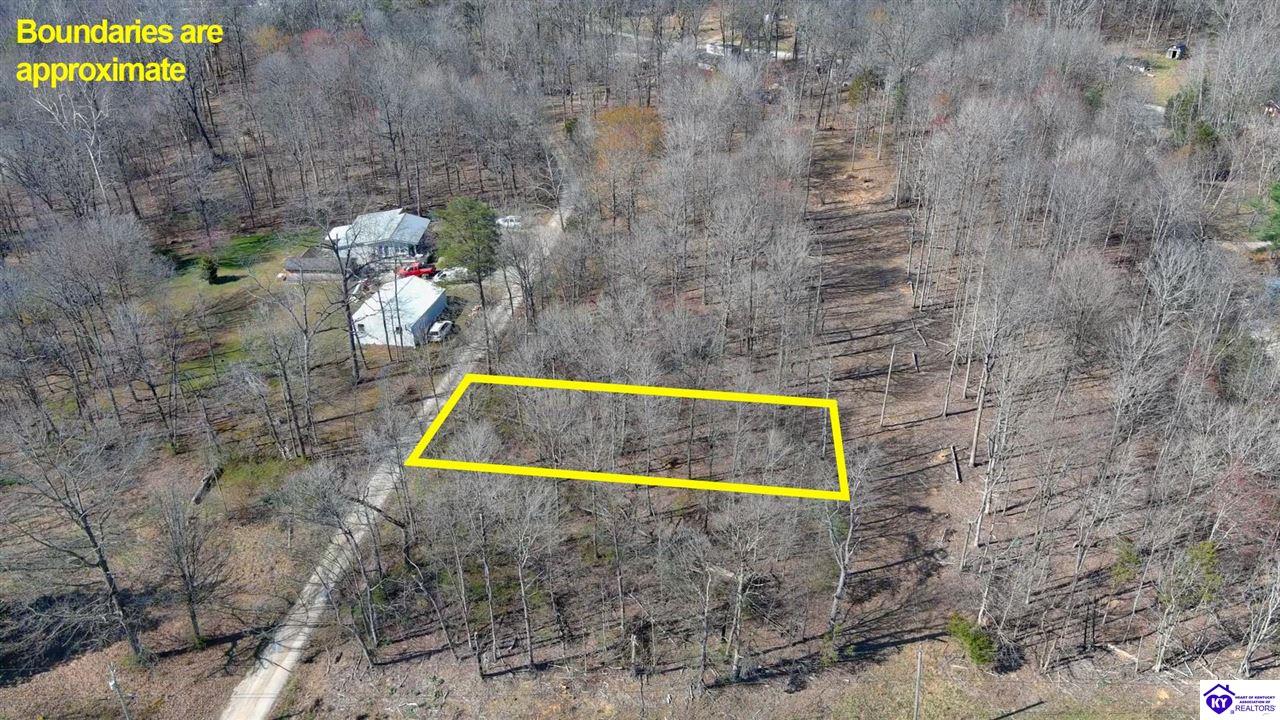 Lot 142 Pine Tree Drive Property Photo 4
