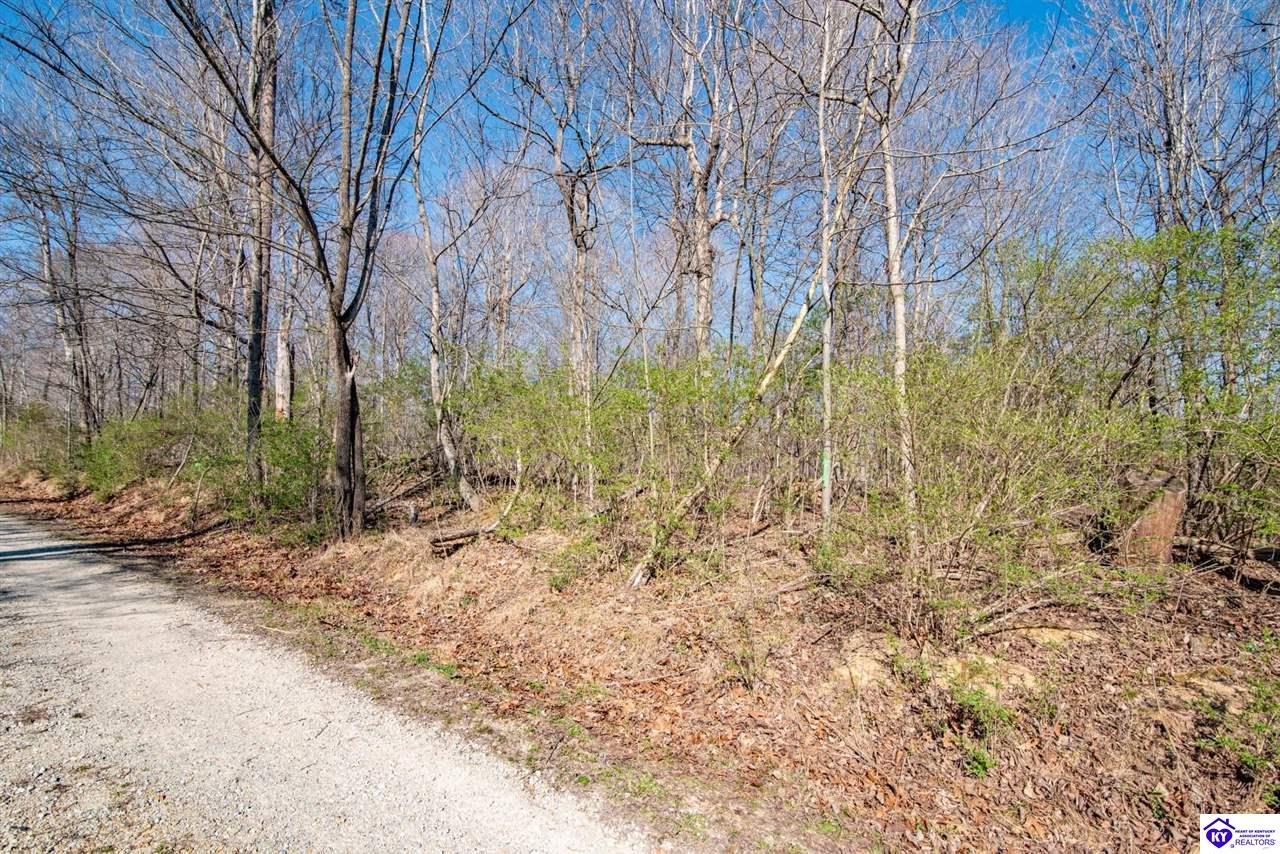 Lot 142 Pine Tree Drive Property Photo 11