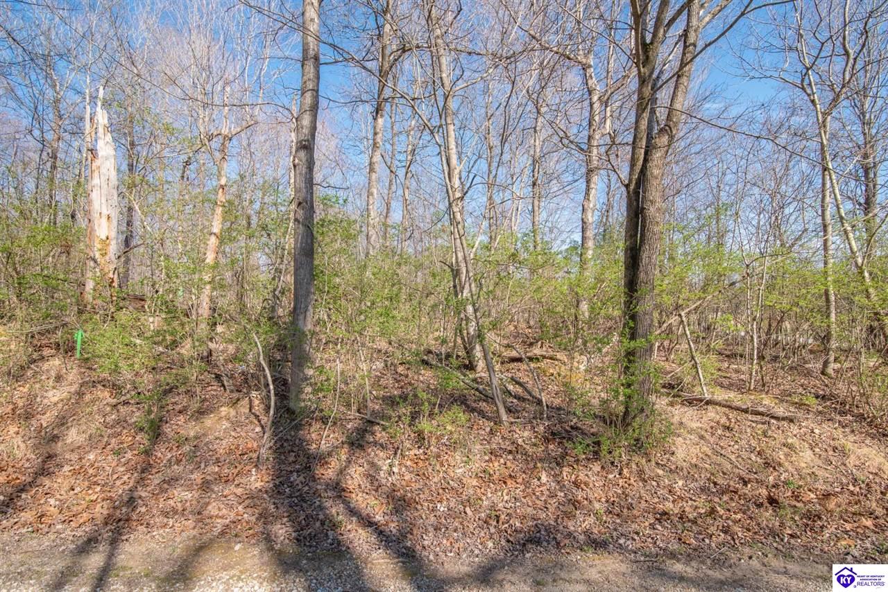 Lot 142 Pine Tree Drive Property Photo 12