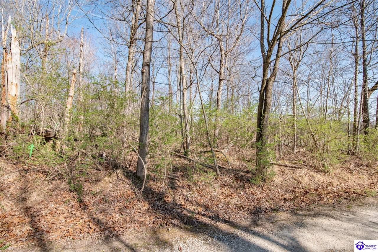 Lot 142 Pine Tree Drive Property Photo 13