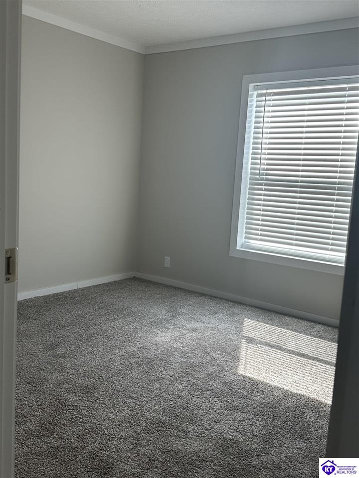 20 Drew Lane Property Photo 28