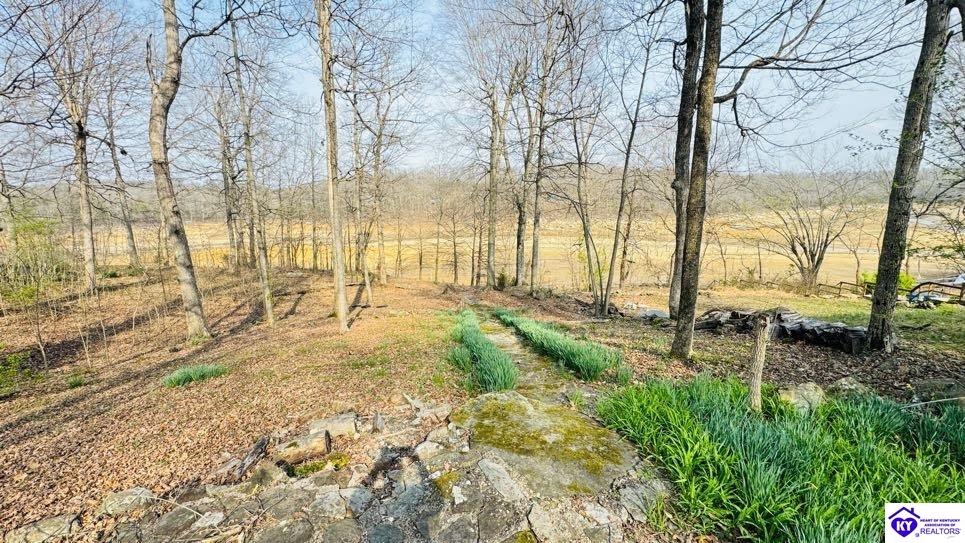 294 Browns Hideaway Lane Property Photo 8