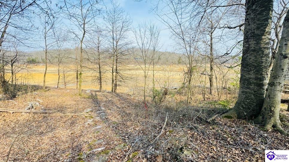 294 Browns Hideaway Lane Property Photo 9