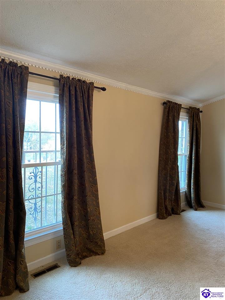 591 Rue La Grande Property Photo 30