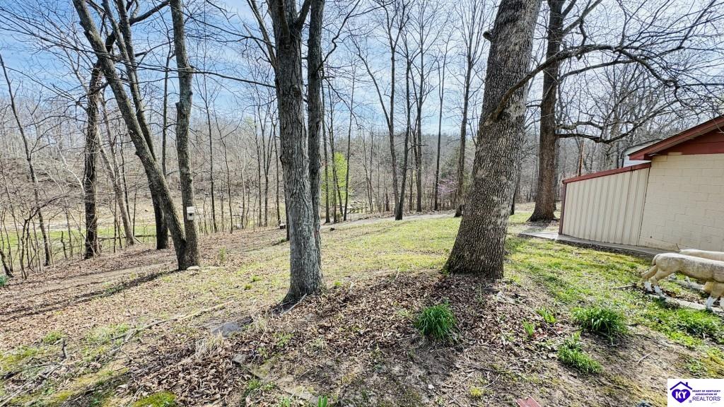 120 Drowsy Drive Property Photo 15