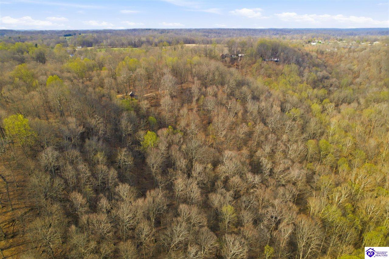 765 Mountain View Estates Road Property Photo 4