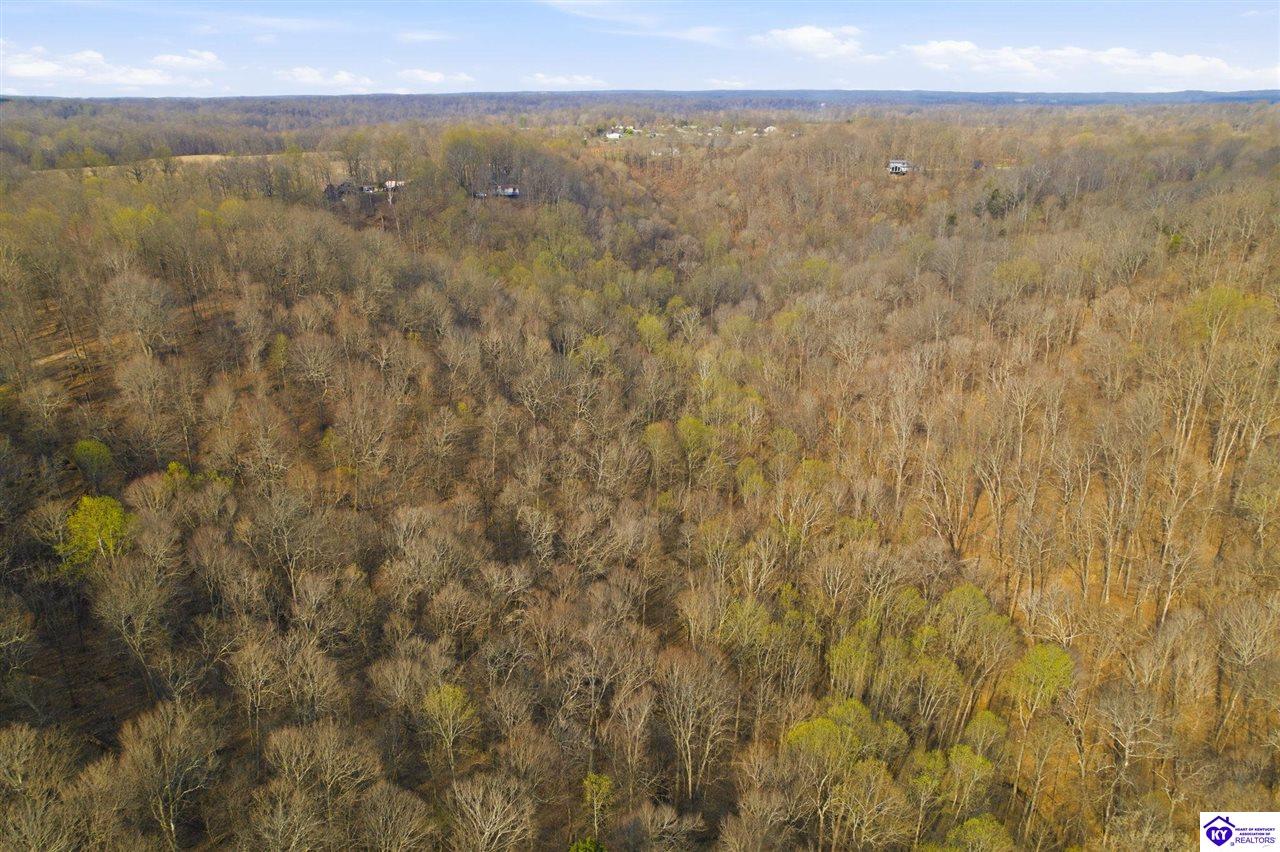 765 Mountain View Estates Road Property Photo 5