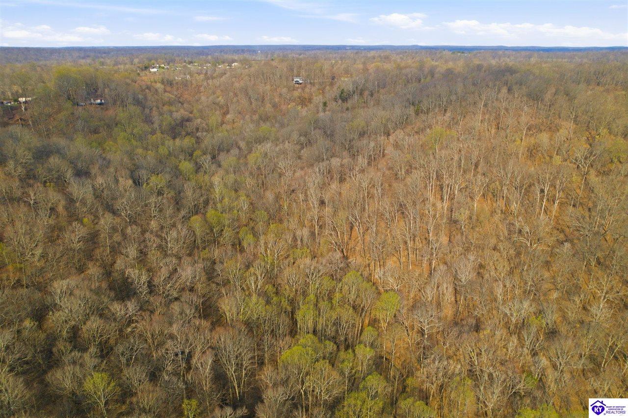 765 Mountain View Estates Road Property Photo 6