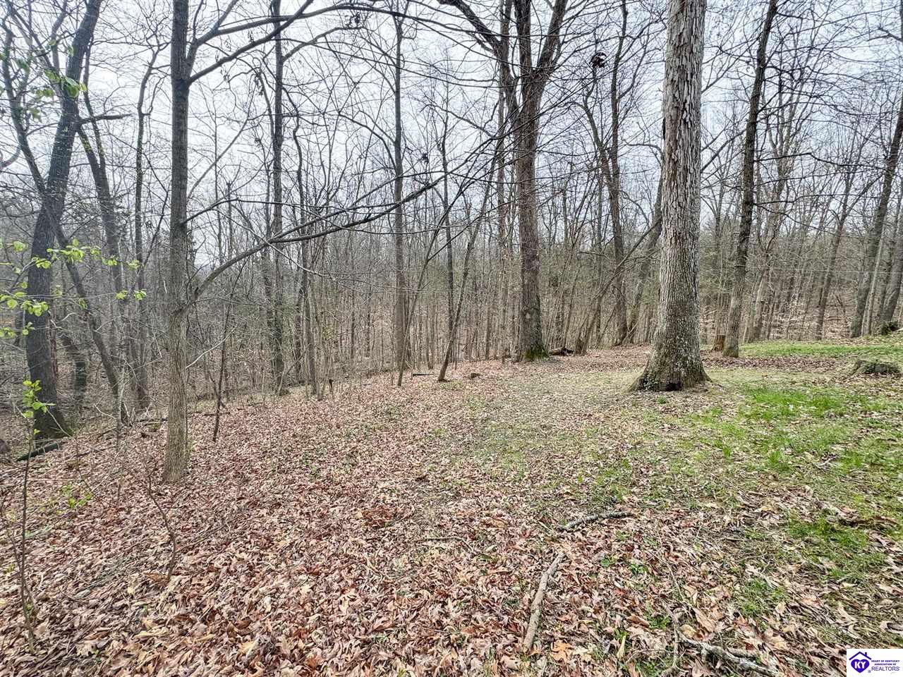 6383 Battle Training Road Property Photo 2